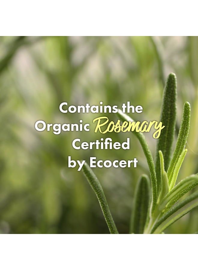 RATED GREEN REAL MARY COLD BREWED ROSEMARY PURIFYING SCALP SCALER w/Sea Salt - Image 2