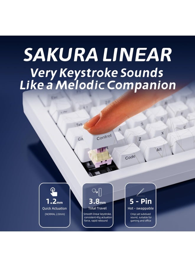 ZORNHER ZH870 Wireless Gaming Mechanical Keyboard,80% Black Custom Creamy Sound Keyboard with White Spider Web IMD PC Keycaps,Creamy Sounding Linear Switches,Hot-Swappable,RGB Backlit - Image 5