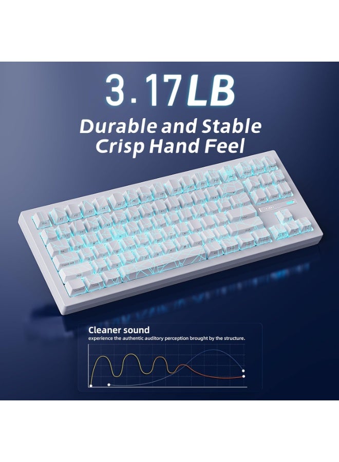 ZORNHER ZH870 Wireless Gaming Mechanical Keyboard,80% Black Custom Creamy Sound Keyboard with White Spider Web IMD PC Keycaps,Creamy Sounding Linear Switches,Hot-Swappable,RGB Backlit - Image 3