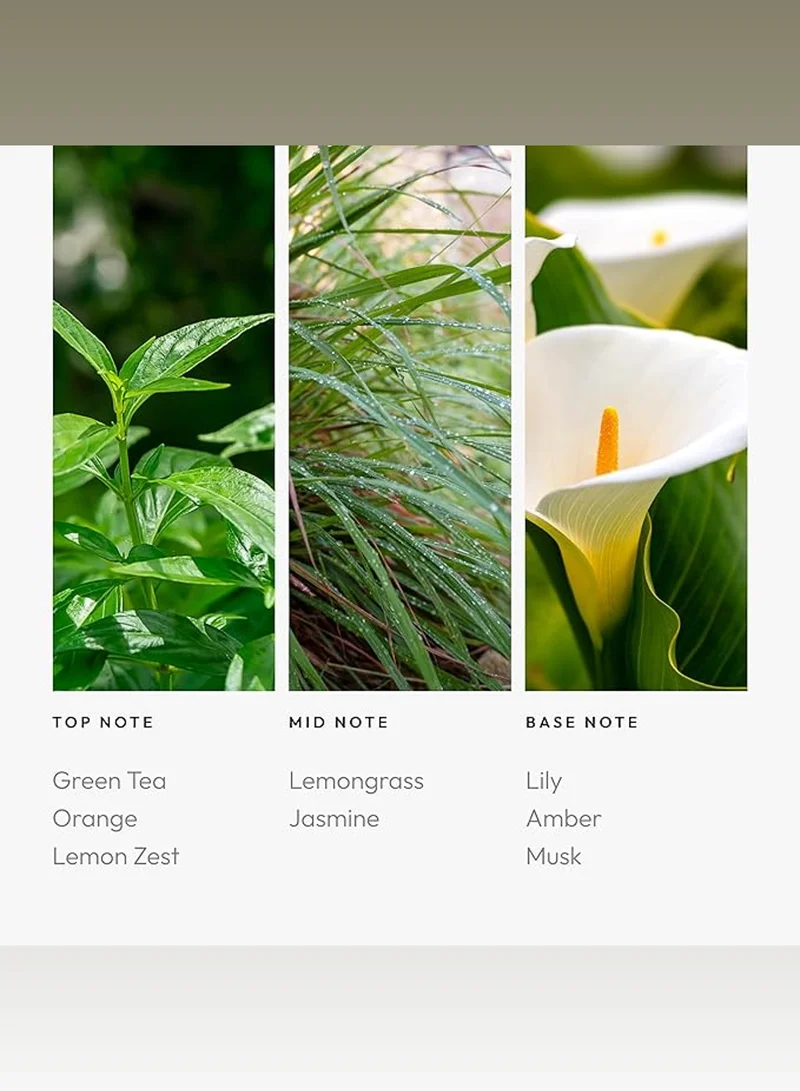 AROMA360 California Love Fragrance Oil Blend - Hotel Inspired for Luxury Essential Oil Diffusers - Aromatherapy Scent Diffuser Oil - Green Tea, Lemongrass, and Lily