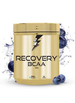 BCAA Gold Series in 2:1:1 Ratio with L-Leucine, L-Isoleucine & L-Valine 8g per Serving for Intra Workout Muscle Recovery with 31 Servings Blueberry (250g)