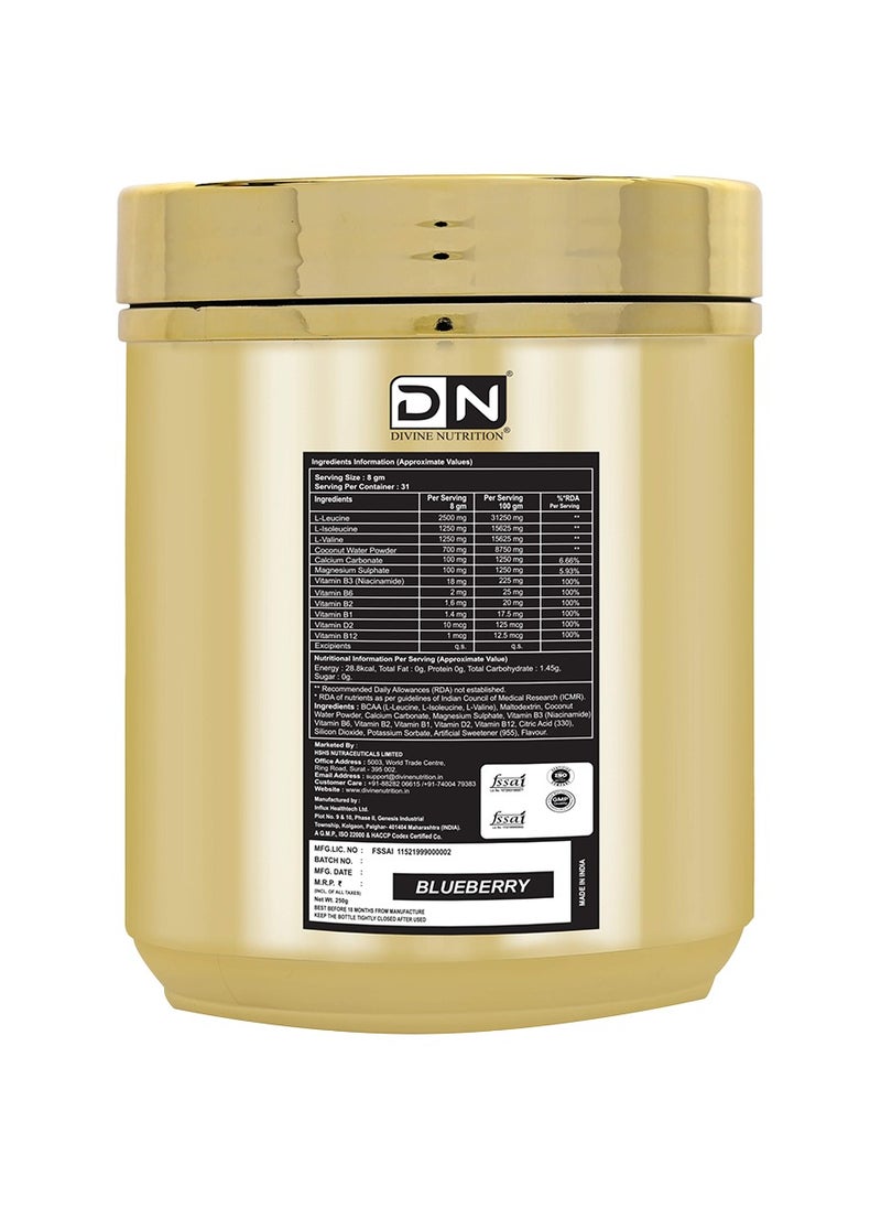 DIVINE NUTRITION - BCAA Gold Series in 2:1:1 Ratio with L-Leucine, L-Isoleucine & L-Valine 8g per Serving for Intra Workout Muscle Recovery with 31 Servings Blueberry (250g) - Image 1