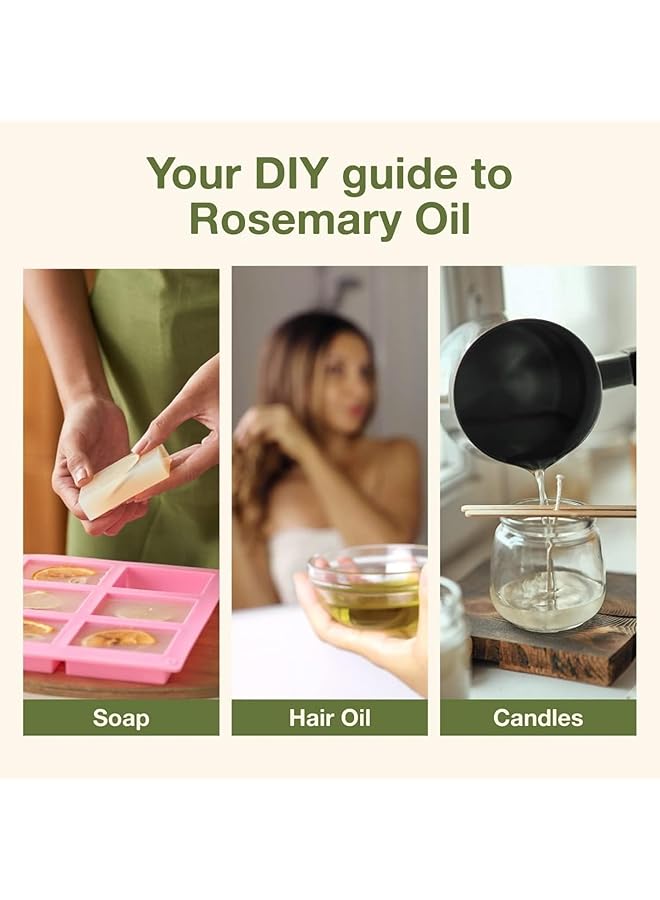 erorex Organic Rosemary Oil For Hair Growth Skin Body Aromatherapy And Massage 100 Percent Pure Natural Therapeutic Grade Essential Oil 10 Ml - Image 2