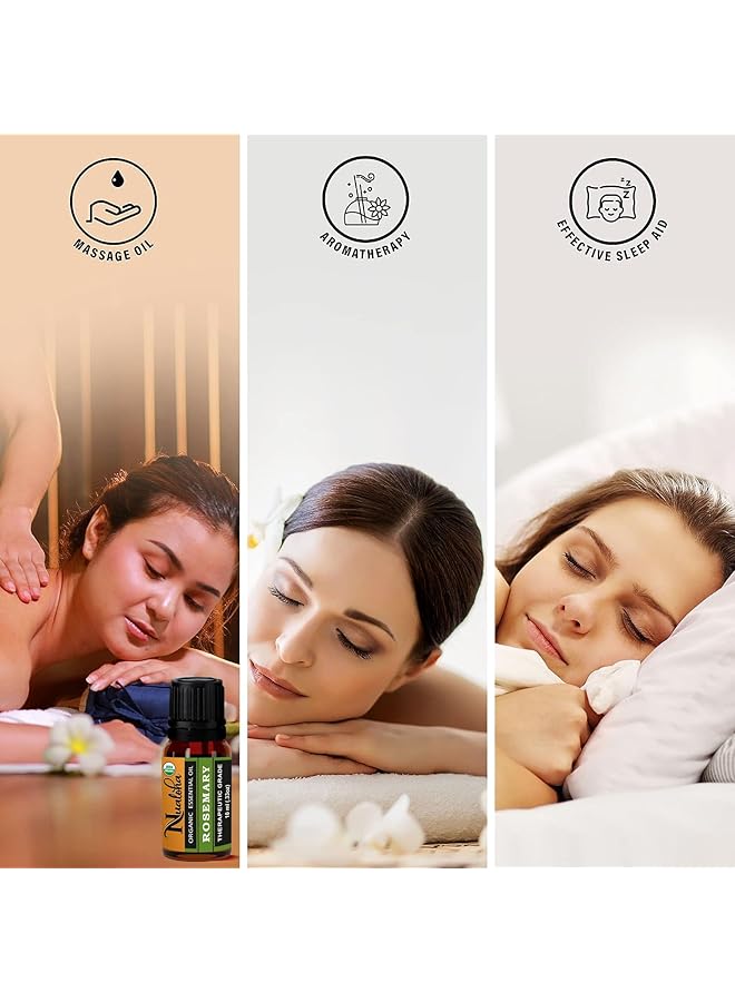 erorex Organic Rosemary Oil For Hair Growth Skin Body Aromatherapy And Massage 100 Percent Pure Natural Therapeutic Grade Essential Oil 10 Ml - Image 5