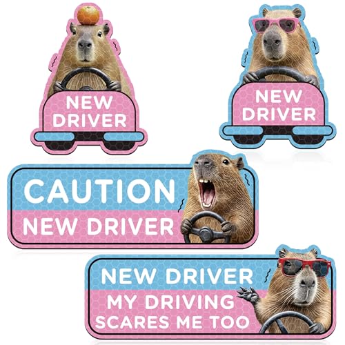 CNhoqc New Student Driver Magnet 4 Pcs Cute Capy Rodent Please Be Patient Student Novice Driver Magnetic Reflective Bumper Sticker Safety Attention Sign Reusable Movable Car Magnet Safety Warning - Image 1