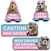 CNhoqc New Student Driver Magnet 4 Pcs Cute Capy Rodent Please Be Patient Student Novice Driver Magnetic Reflective Bumper Sticker Safety Attention Sign Reusable Movable Car Magnet Safety Warning - Image 2