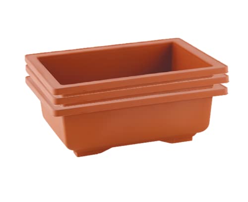 SHOPATHON INDIA Brown Rectangle Shallow Premium Plastic Bonsai Species Tree Plantation Pot for Dwarf Umbrella Ficus Adenium Jade Maple Snow Rose Plants - 12 Inch 3 Pots - Image 5