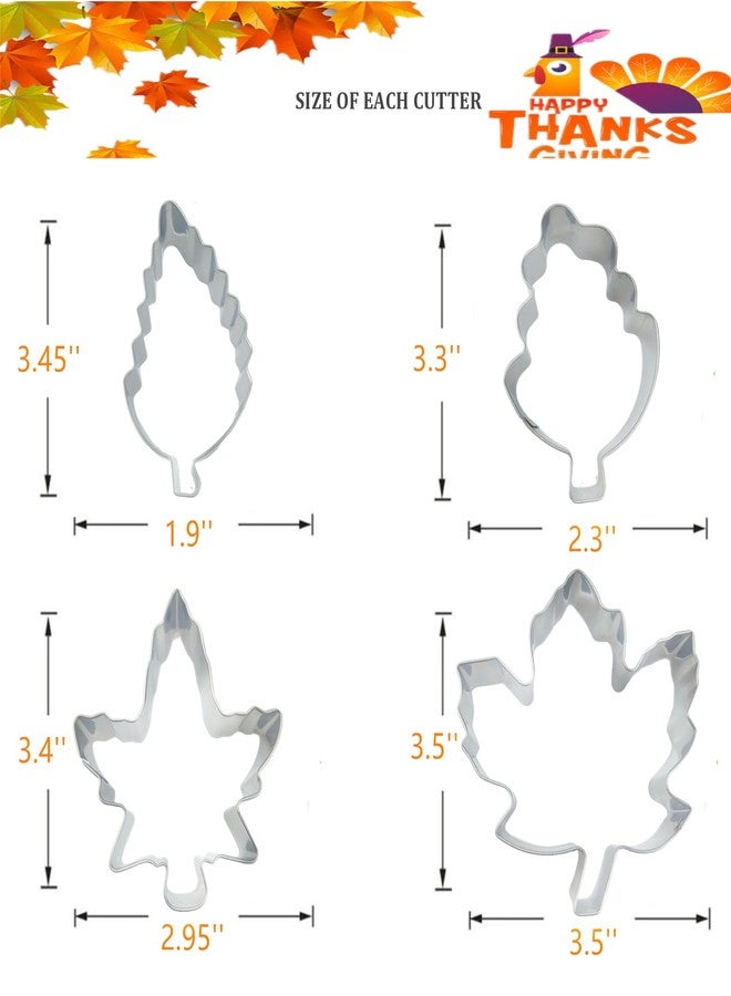 Q-BAKER Fall Leaves Cookie Cutters Set, 4 Piece Leaf Cookie Cutter Set Maple, Oak(Big and Small Size), Stainless Steel Molds - Image 2