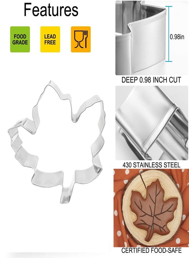 Q-BAKER Fall Leaves Cookie Cutters Set, 4 Piece Leaf Cookie Cutter Set Maple, Oak(Big and Small Size), Stainless Steel Molds - Image 3