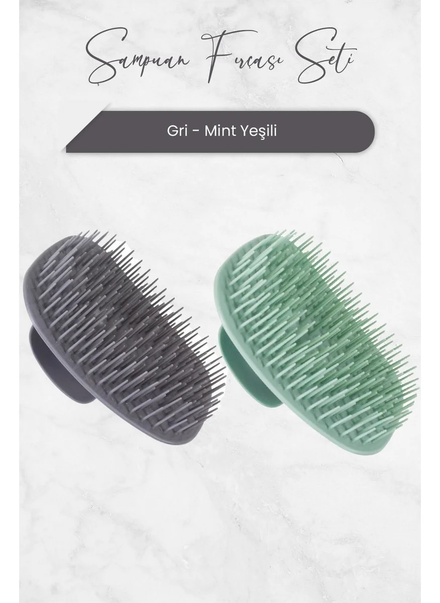 ناسيتا Shampoo Brush Mint Green and Gray Set of 2