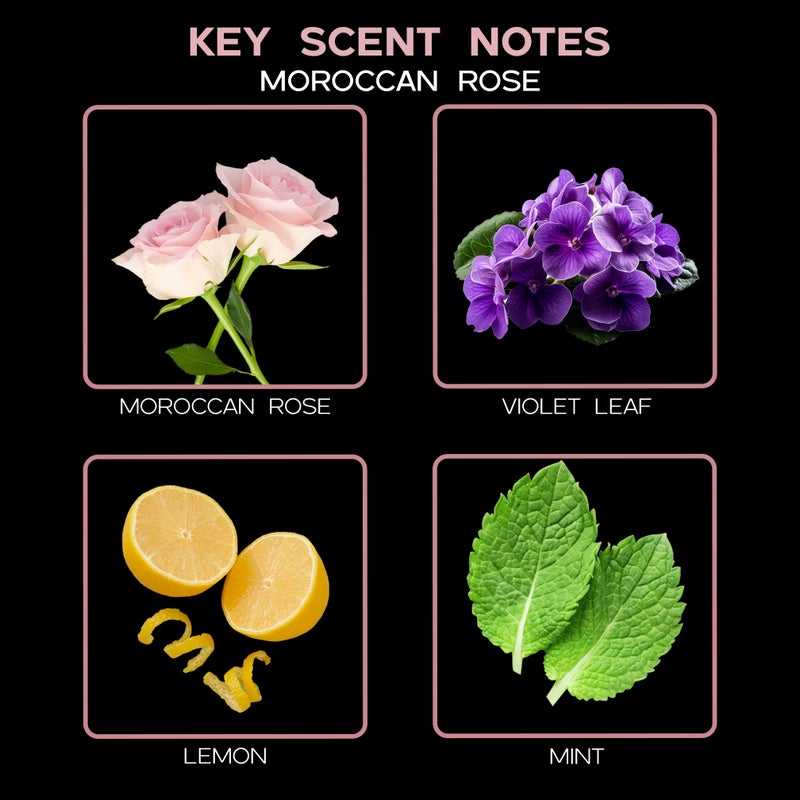 LOVSPA Reed Diffuser Set, Moroccan Rose Scented Oil Diffuser with Sticks, Home Fragrance Accessories for Bathroom Shelf Decor, Aroma Diffusers for Home or Office Desk, USA Made - Image 3