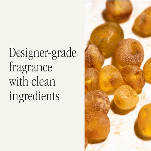 Pura Car Scent Refill - Fragrance for Pura Car Diffuser - Clean & Safe Luxury Diffuser Scent - Long-Lasting Fragrance for 30 Days of Aroma - Must-Have - Red Rock & Amber - Image 4