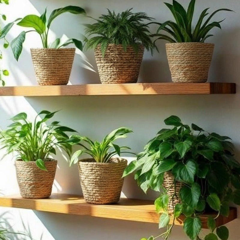 AceOrbit 6 Pcs Seagrass Plant Basket with Plastic Liners Woven Stylish Planter Baskets Bulk Indoor Outdoor Plants Woven Wicker Baskets for Flower Pots Cover and Room Decor Small (Small,Rustic) - Image 3