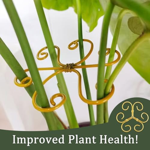 YAPROMO 4PCS Iron Monstera Plant Support - 4.1IN Plant Support Stakes for Indoor Plants, Plant Stakes and Supports, Ideal Plant stem Support for Turtle Shell Bamboo & Houseplants (A+B) - Image 3