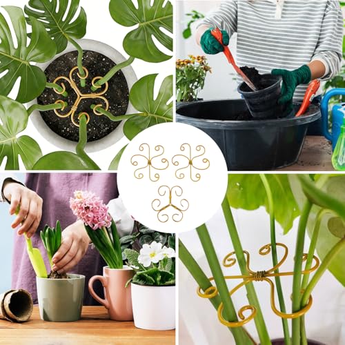 YAPROMO 4PCS Iron Monstera Plant Support - 4.1IN Plant Support Stakes for Indoor Plants, Plant Stakes and Supports, Ideal Plant stem Support for Turtle Shell Bamboo & Houseplants (A+B) - Image 4