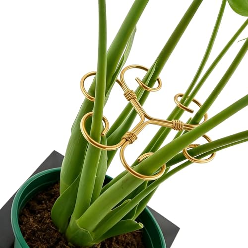 YAPROMO 4PCS Iron Monstera Plant Support - 4.1IN Plant Support Stakes for Indoor Plants, Plant Stakes and Supports, Ideal Plant stem Support for Turtle Shell Bamboo & Houseplants (A+B) - Image 1