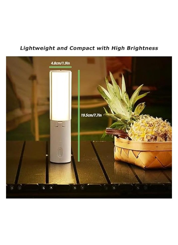 erorex 4000mAh Rechargeable Camping Lights, Portable Camping Lanterns Battery Powered Electric Lantern for Power Emergency, Hanging Canopy Tent, Hurricane  - Image 5