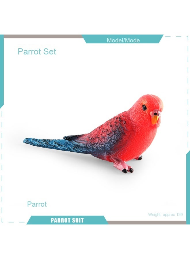 NIBEMINENT Realistic Parrot Model - Educational Desktop Decoration for Cognitive Learning