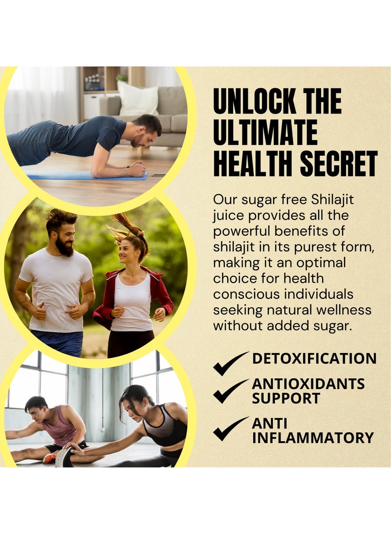 Shilajit Energy Drink Pure Authentic Himalayan Shilajit Juice For Men Rich In Fulvic Acid & Minerals Shilajeet Juice 500ml PET Bottle Pack of 2