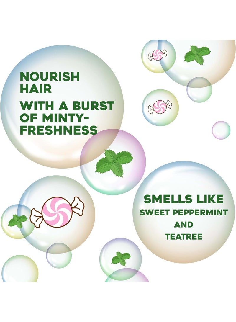 أو جي إكس شامبو مرطب بخلاصة شجرة الشاي والنعناع وغني بزيوت شجرة الشاي الاسترالية 385 مل - Image 5