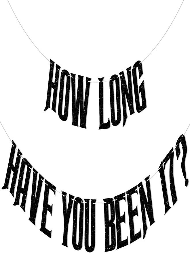 Ramciyo How Long Have You Been 17 ? Banner - Funny 17th Birthday Party Decorations, Vampire Themed 17th Birthday Decorations Black Glitter - Image 1