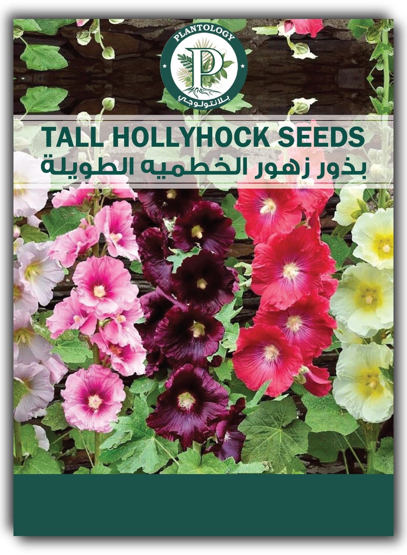 بذور الخبيزة الطويلة للزراعة - بذور الخبيزة - Image 1