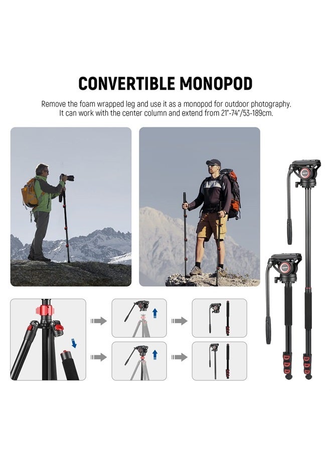 NEEWER 72" Fluid Head Video Tripod Monopod, Aluminum Alloy QR Plate Compatible with DJI RS Gimbal Manfrotto, 360° Pan & +90°/-70° Tilt for DSLR Camera Camcorder, Max Load 17.6lb/8kg, TP72A - Image 5