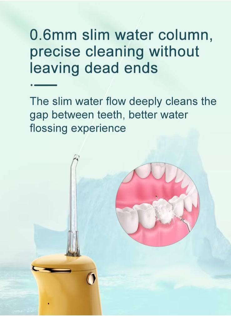 Nicefeel Mini Dental Water Flosser FC3940 – Penguin Design, Portable Oral Irrigator with 110ml Water Tank, 3 Modes, Low Noise, USB-C Rechargeable