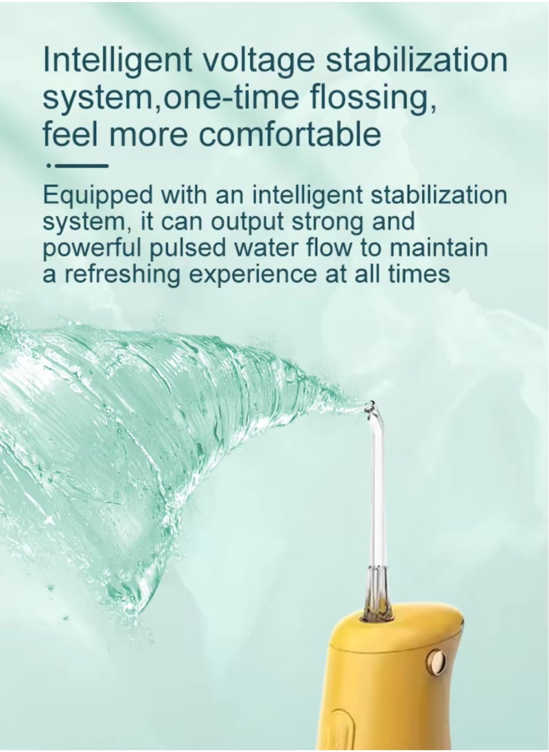 Nicefeel Mini Dental Water Flosser FC3940 – Penguin Design, Portable Oral Irrigator with 110ml Water Tank, 3 Modes, Low Noise, USB-C Rechargeable