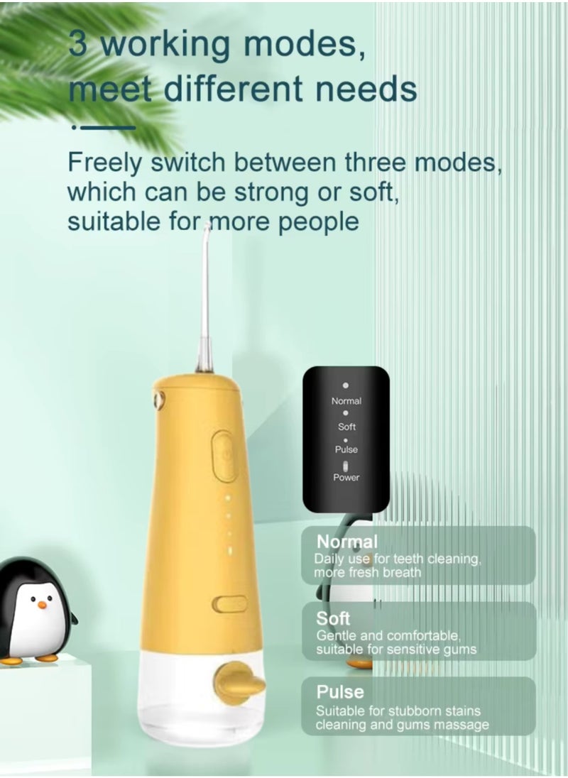 Nicefeel Mini Dental Water Flosser FC3940 – Penguin Design, Portable Oral Irrigator with 110ml Water Tank, 3 Modes, Low Noise, USB-C Rechargeable