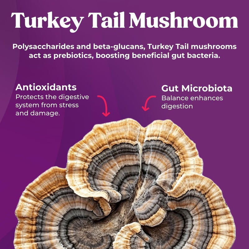 Fungiments Super Prune  Mushroom Supplement  Turkey Tail Mushrooms Fiber Rhubarb Prunes Ginger Chamomile  Debloating Constipation Relief 30 Mushroom Gummies - Image 2
