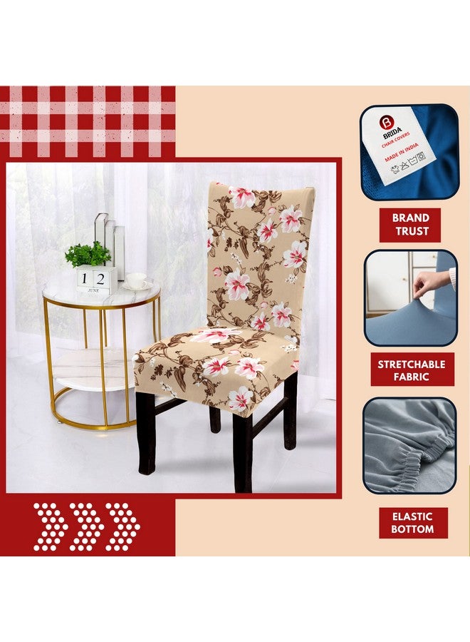 BRIDA® Polyester Spandex Stretchable Floral Geometric Printed Dining Chair Covers Elastic Chair Seat Case Protector, Slipcovers (4 Chair Cover, Beige Pink) - Image 5