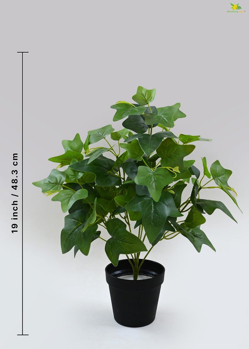 Blooming Floret Artificial Japanese Ivy Plant for Interior Decor/Home Decor/Office Decor/Gifting | with Basic Black Pot | 48.3 cm Short Ornamental Plant | Natural Looking | Durable - Image 3