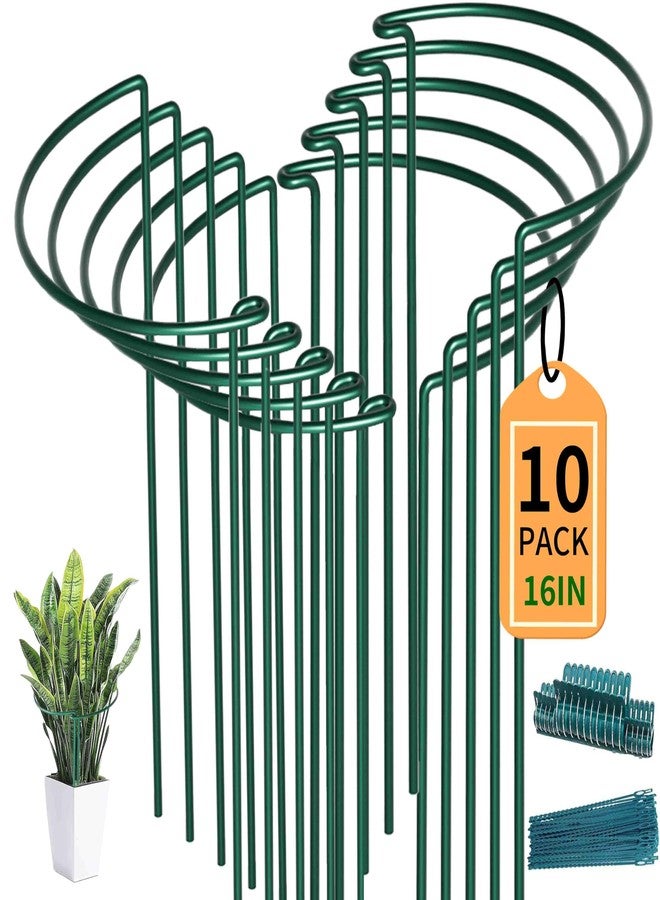 TCBWFY 10 Pack Plant Supports for Ourdoor Indoor Plants,10x16inch Metal Plant Peony Cages and Supports,Graden Stakes for Plants Flowers Peonies(20pack Plant Clips,20pack Plant Ties Include) - Image 1