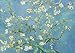CHengQiSM 1000 Piece Puzzle for Adults Almond Blossoms by Van Gogh Jigsaw Puzzles 1000 Pieces Van Gogh Puzzles for Adults 1000 Pieces Famous Oil Painting Puzzle 1000Piece Jigsaw Puzzles - Image 2