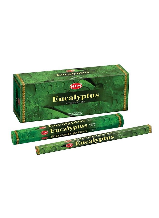 Eucalyptus 20 Stick Hex Tube Hem Incense - pzsku/Z779D28F7FE1314037E4AZ/45/_/1693487170/bfcc324e-5ba3-4027-b4b8-4da7ca9cfd32