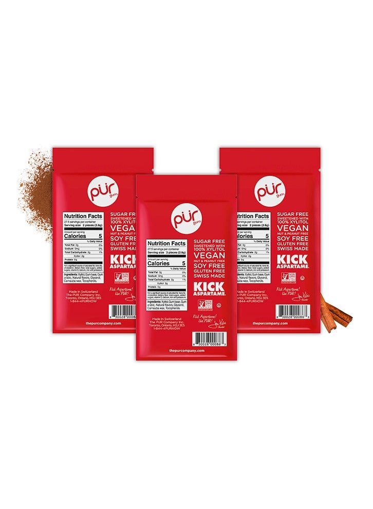 PUR Gum The Company | Sugar-Free + Aspartame-Free Chewing | 100% Xylitol | Cinnamon | Vegan + Non GMO | 55 Pieces per Bag (Pack Of 3, 165 Pieces) - Image 2