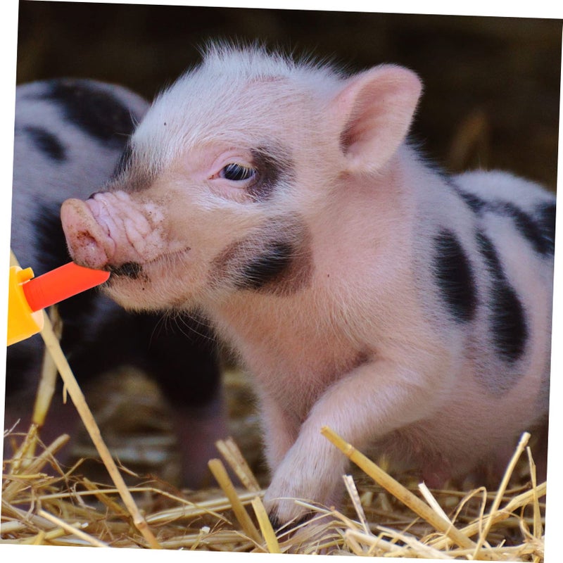 10pcs Silicone Lamb Nursing Bottle Nipples Pacifiers for Calves and Piglets Durable Easy Clean Livestock Feeders - Image 4