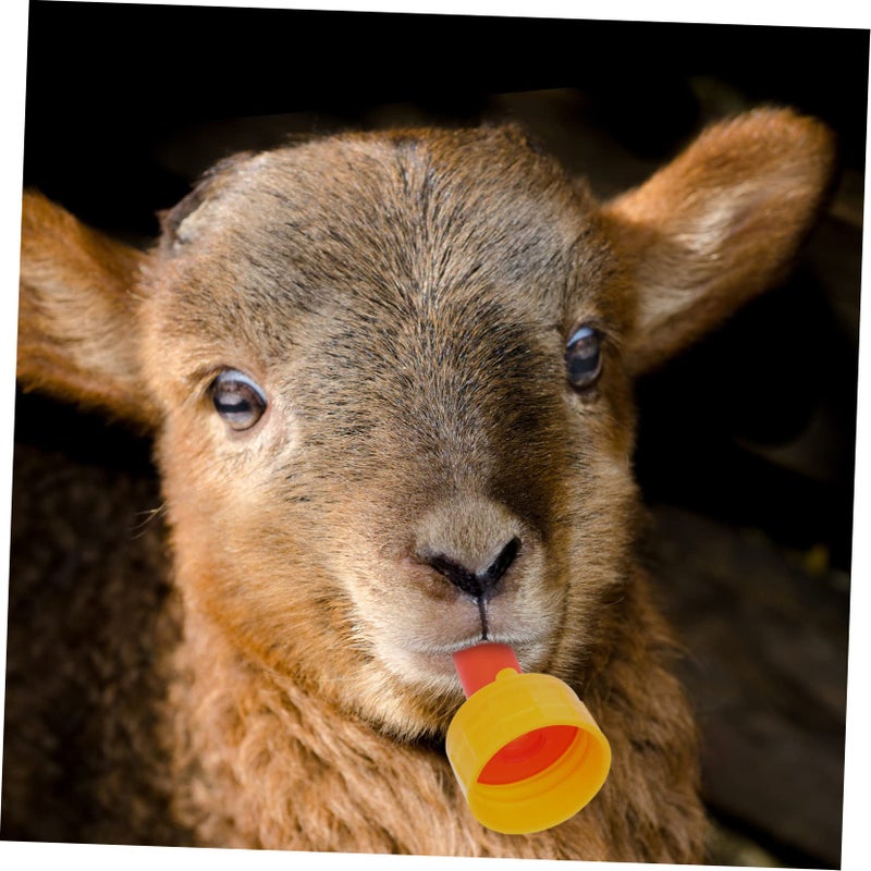 10pcs Silicone Lamb Nursing Bottle Nipples Pacifiers for Calves and Piglets Durable Easy Clean Livestock Feeders - Image 3