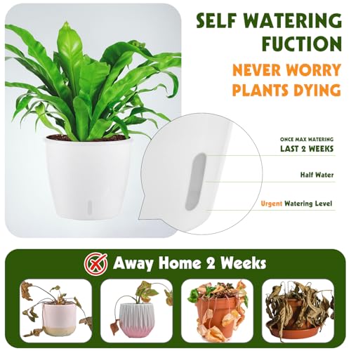 KvyusFlourish SelfWatering Pots for Indoor Plants 12Pack 5 Self Watering Planter with Drainage Holes Small African Violet Pots with Water Indicator Clear Wick Pot White - Image 3