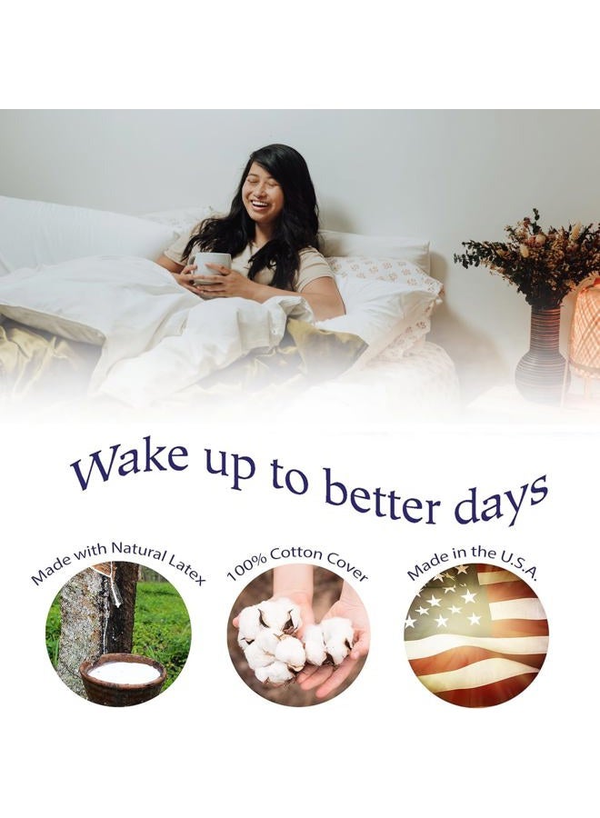 RejuveNite وسادة سرير متوسطة الدعم من لاتكس تالاى الأمريكية للنوم مع غلاف ساتين قطني فاخر 100%، 400TC، بروفايل عالي قياسي – مصنوعة في الولايات المتحدة الأمريكية - Image 4