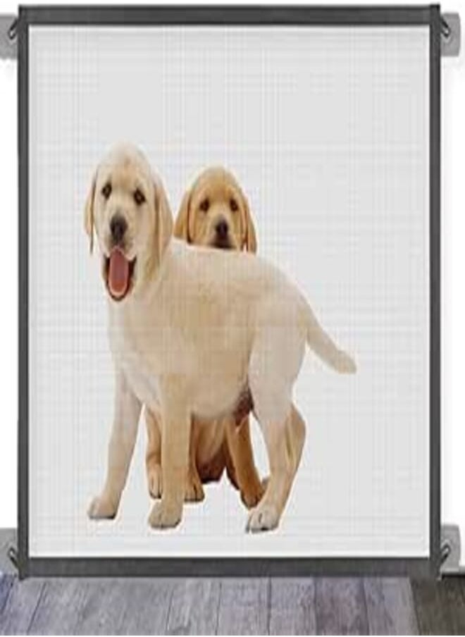 Generic Queenie Safety Gate, Retractable Baby Gate, Portable Pet Gate for Kids, Dogs, Dogs, Pets - All Places Mountable Mesh Gate - 45.02" - Black 