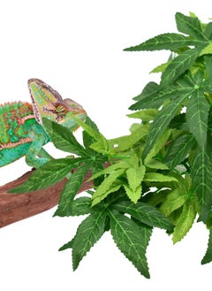 Reptile Plants, Vibrant Hanging Amphibian Plants with Suction Cup for Snake, Bearded Dragons, Toads, Hermit Crab Tanks , Perfect Habitat Decorations for Your Pet Reptiles - pzsku/Z77A282A73D3EB314AD69Z/45/_/1721117172/784b3a29-ca36-4148-a471-48cc7713a511