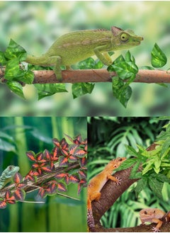 Excefore Reptile Plants, Vibrant Hanging Amphibian Plants with Suction Cup for Snake, Bearded Dragons, Toads, Hermit Crab Tanks , Perfect Habitat Decorations for Your Pet Reptiles  - Image 5