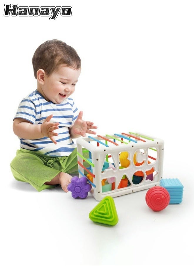 Hanayo 14Pcs Sensory Toys Shape Sorter Sensory Shape Toys with Letter for Toddler Tactile Perception Training Toys with  Colorful Multisensory Shapes Multifunctional Developmental Baby Toy for Girls and Boys(Multicolour)  - Image 1