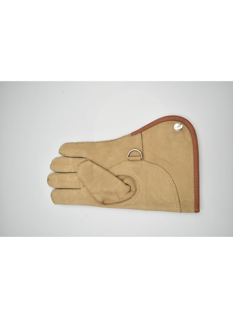 Falconry Training Glove - Image 1