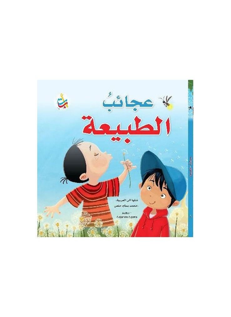 generic2 Natural wonders Mohamed Bassam  - Image 2