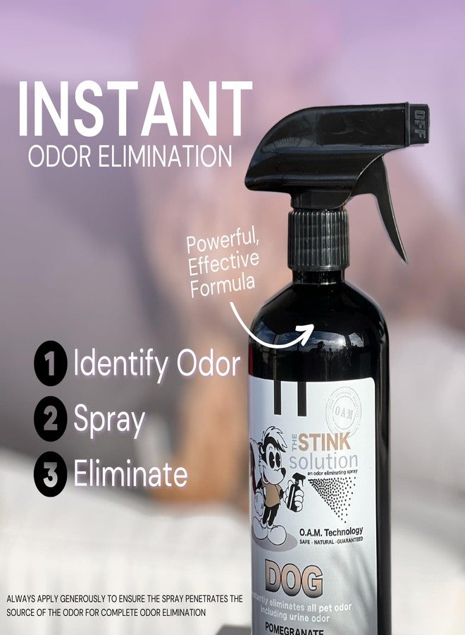 The Stink Solution مزيل روائح الكلاب من ذا ستينك سوليوشن للمنزل والأثاث والسجاد وغيرها | مزيل سريع وفعال للبراز والقيء والرائحة الكريهة وبول الحيوانات الأليفة | منتجات الكلاب - زجاجة واحدة سعة 16 أونصة (برائحة الرمان) - Image 3