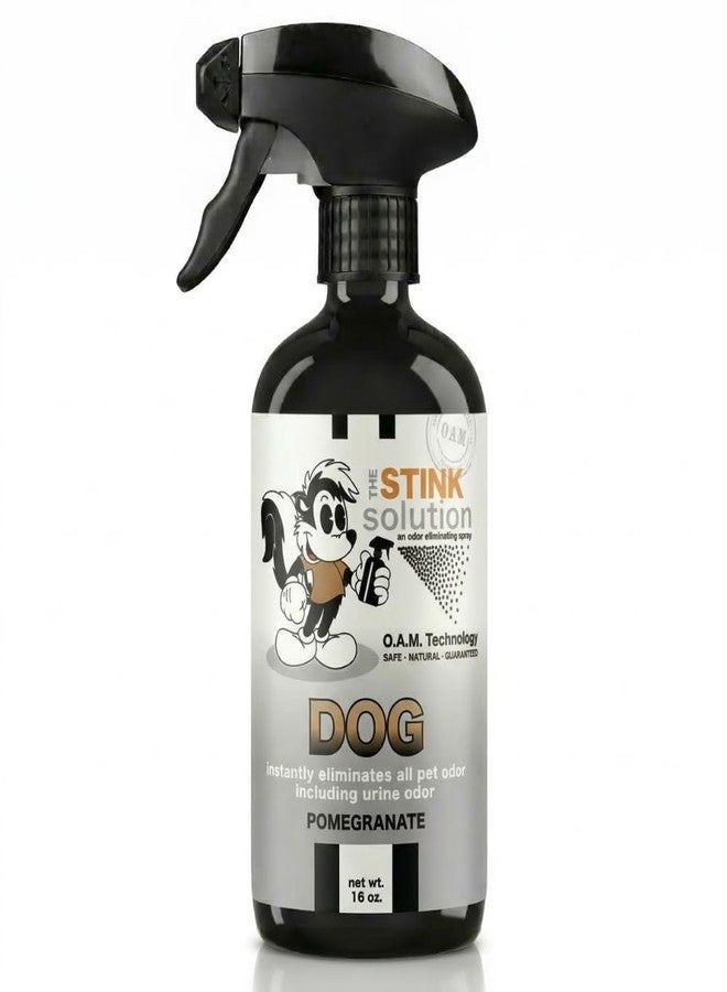 The Stink Solution مزيل روائح الكلاب من ذا ستينك سوليوشن للمنزل والأثاث والسجاد وغيرها | مزيل سريع وفعال للبراز والقيء والرائحة الكريهة وبول الحيوانات الأليفة | منتجات الكلاب - زجاجة واحدة سعة 16 أونصة (برائحة الرمان) - Image 1