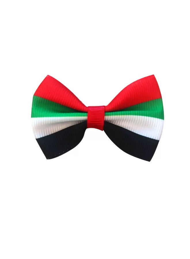 UAE National Day Accessories Set for Kids | 2PCS Bow Tie & Hair Clips | Flag Day Outfit | Boys & Girls Hair Accessories - Image 3